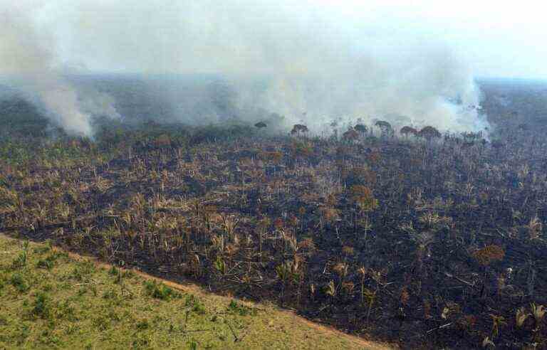 Saving biodiversity mired in financial stakes at COP15