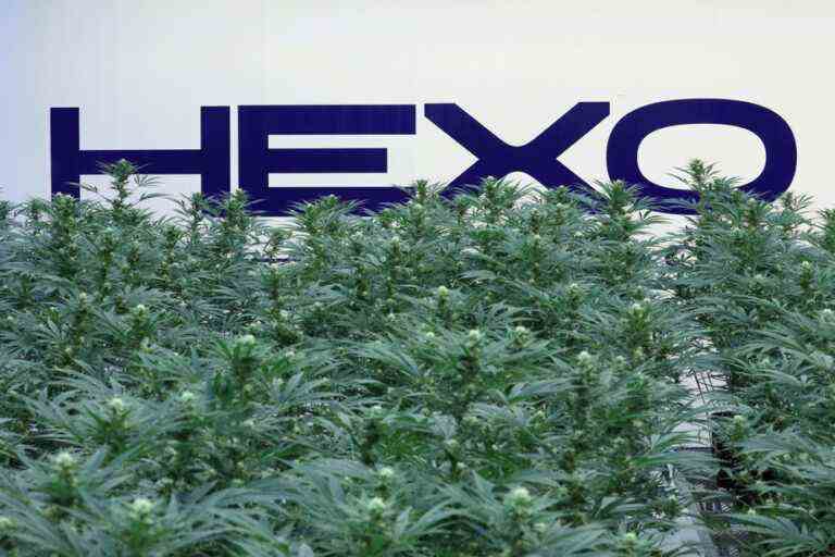 Second trimester |  Hexo announces a loss of 52.1 million and consolidates its shares