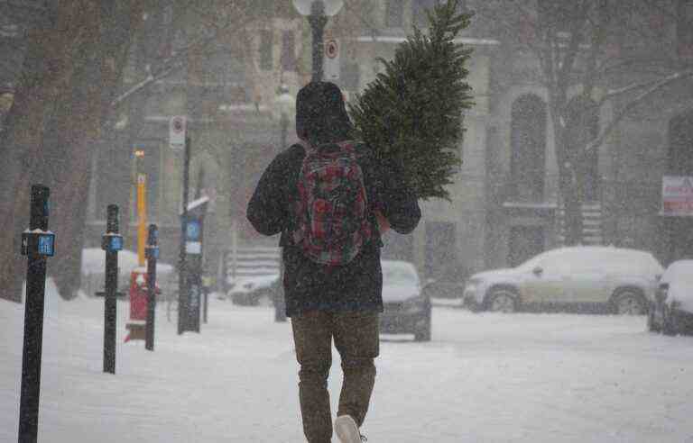 Snowstorm for New Year’s Eve