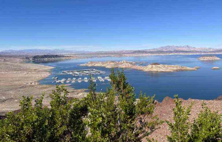 Southern Nevada serene at the bedside of its sick lake