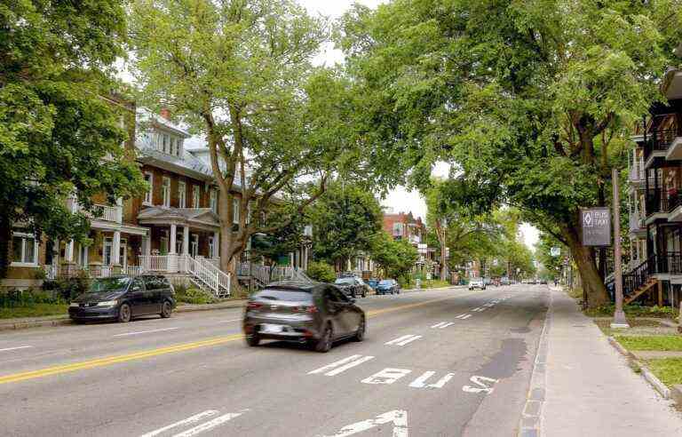 The City of Quebec wants 130,000 trees to be planted on its territory by 2030