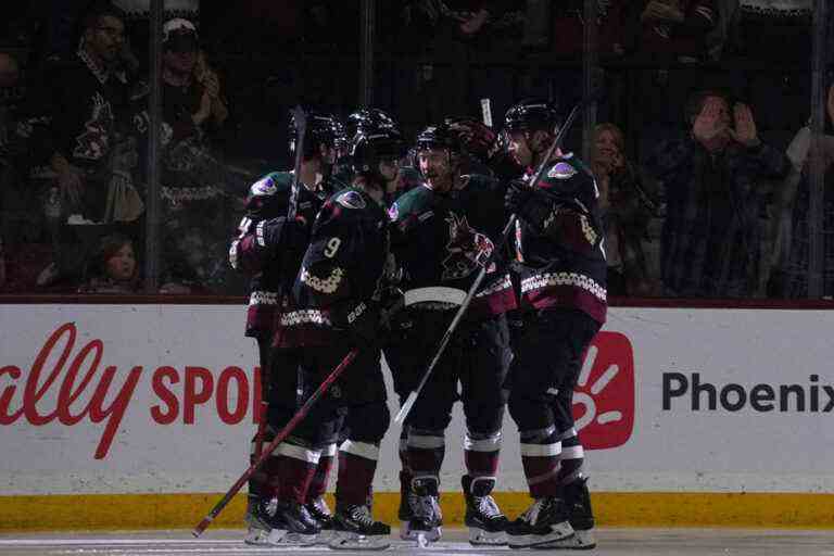 The Coyotes finally put down their suitcases