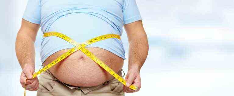 The catastrophic effect of obesity on blood vessels