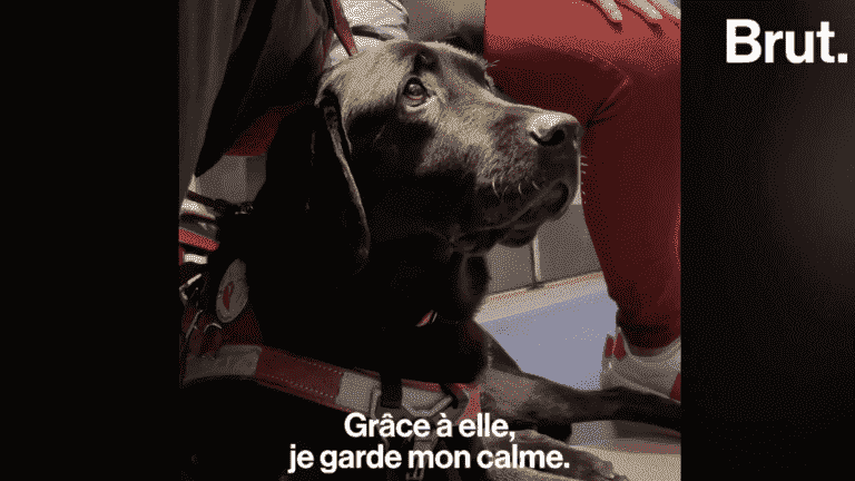 The daily life of Gisèle, blind, and her dog Olympe