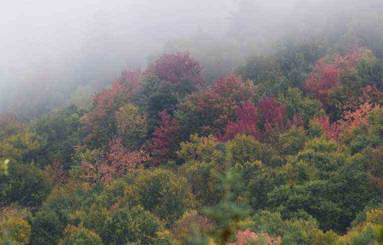 The future of Quebec is linked to the protection of its biodiversity