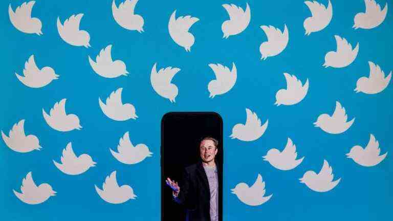 Twitter suspends accounts of journalists working on Elon Musk, international outcry