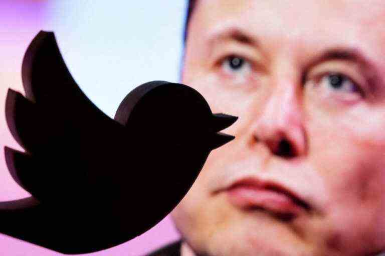 Twitter |  Users vote for Elon Musk to step down as CEO