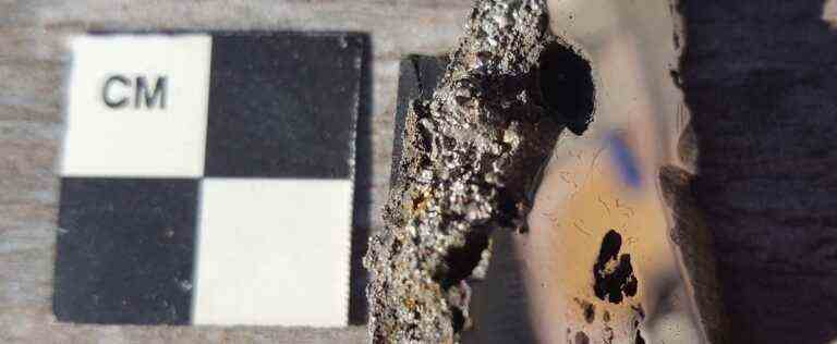 Two never-before-seen minerals have been discovered in a meteorite