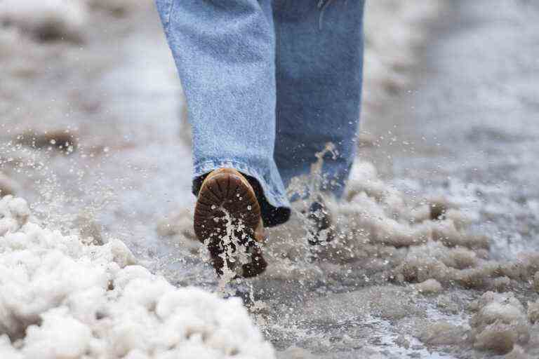 Weather |  After the storm and the cold, the thaw