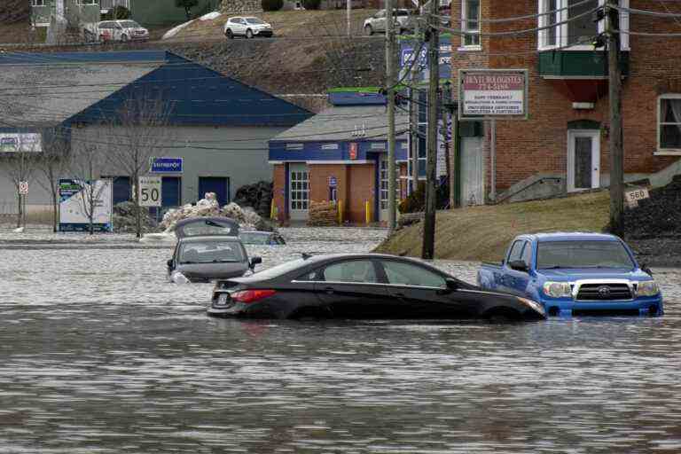 Wetlands |  Beauceville blamed for a clear cut