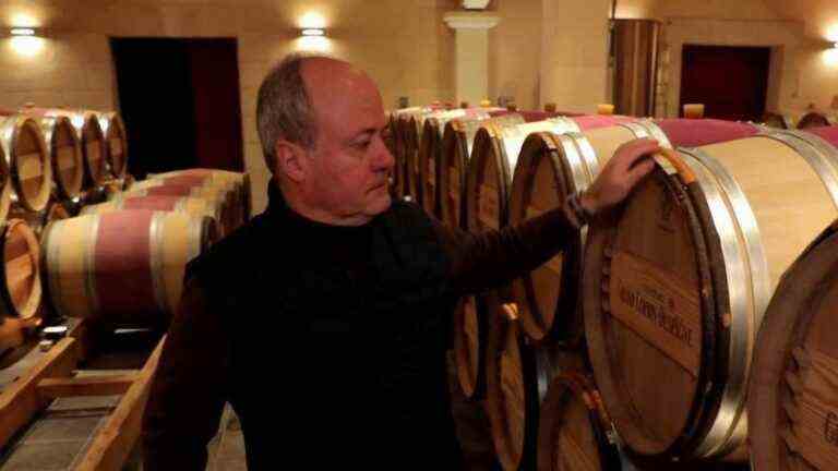 Wine: the 2022 vintage, a historic grand cru?