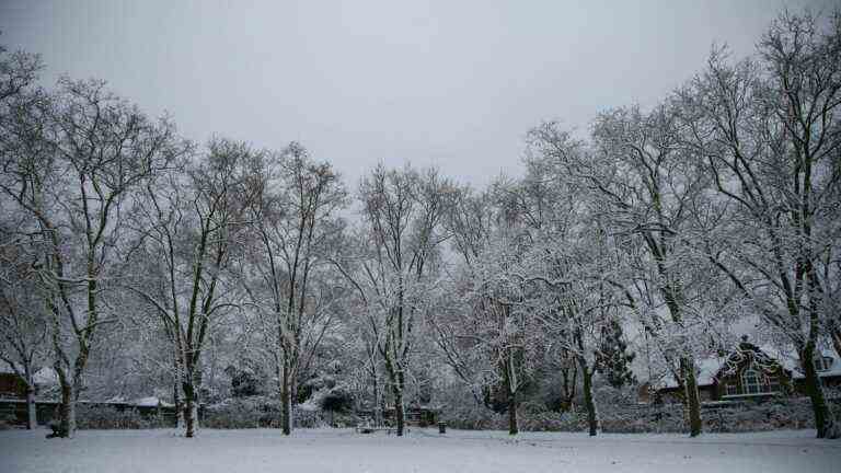 a fourth child died after falling into a frozen lake on Sunday