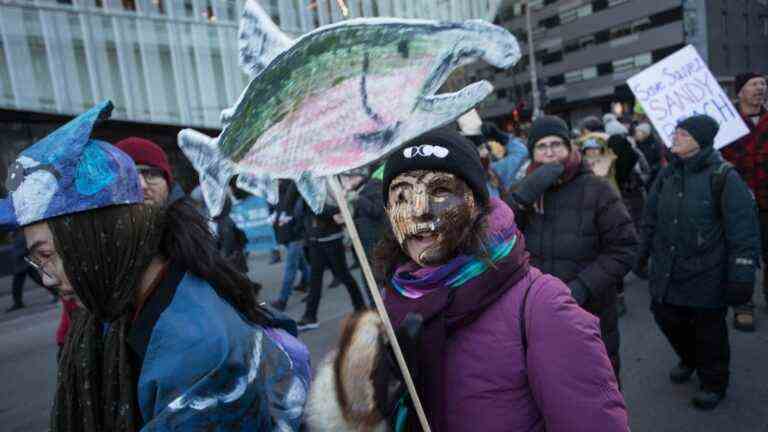 disguised as a tree or a bird, protesters take to the streets in Montreal