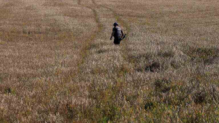 grain harvest down 40% for 2022 due to Russian invasion