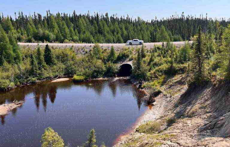 iTrackDNA project uses environmental DNA to learn about Canadian wildlife