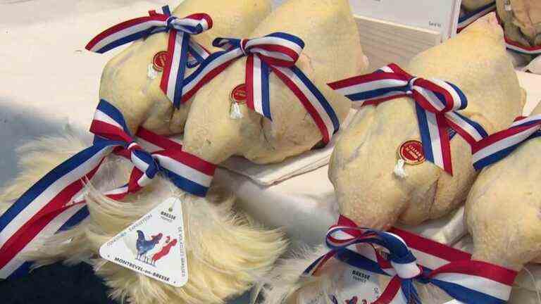 in Bresse, the exceptional poultry competition