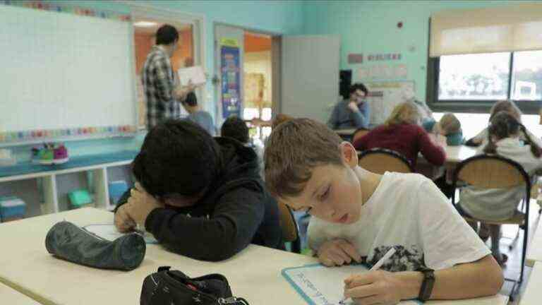 in the Landes, the methods of a teacher are unanimous