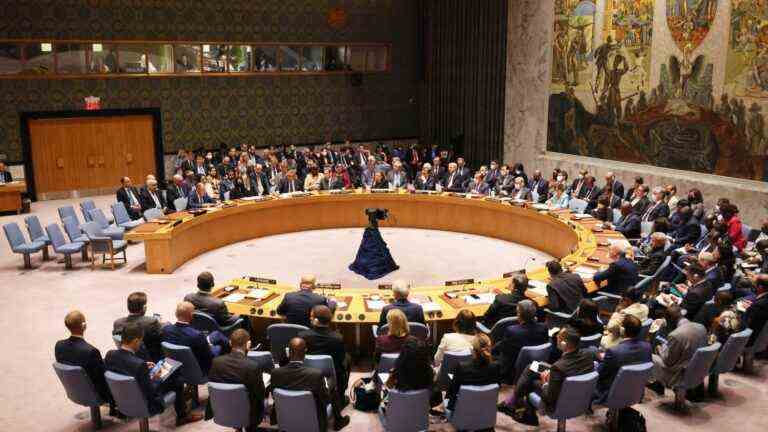 kyiv demands that Russia be excluded from the UN