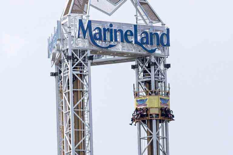 marine land |  Animal cruelty charge stayed by Crown