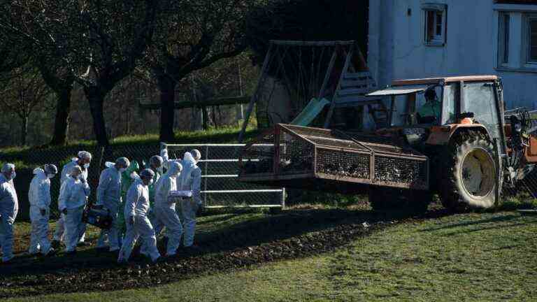 the State is emptying farms in the west of France