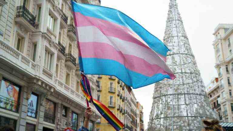 the deputies adopt in first reading a bill allowing to freely change gender in the civil status from the age of 16