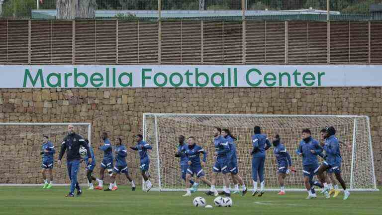 travel and DIY, preparation courses in Spain … Ligue 1 players tell their truce during the World Cup