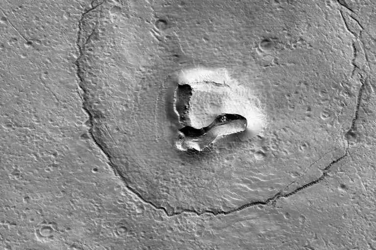 A bear on Mars?  |  NASA releases an intriguing photo of the Red Planet