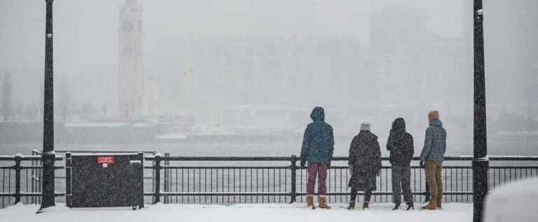 A few snowflakes to prepare for the real storm