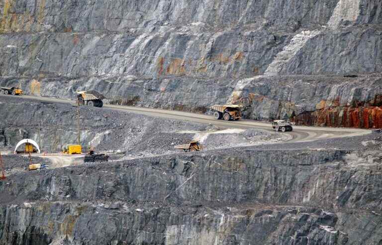 A gold mine project in Abitibi where species at risk live