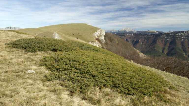 Alps lost 36 days of snow cover, study finds