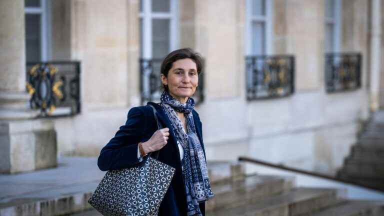 Amélie Oudéa-Castéra calls for sanctions after homophobic banners in Montpellier