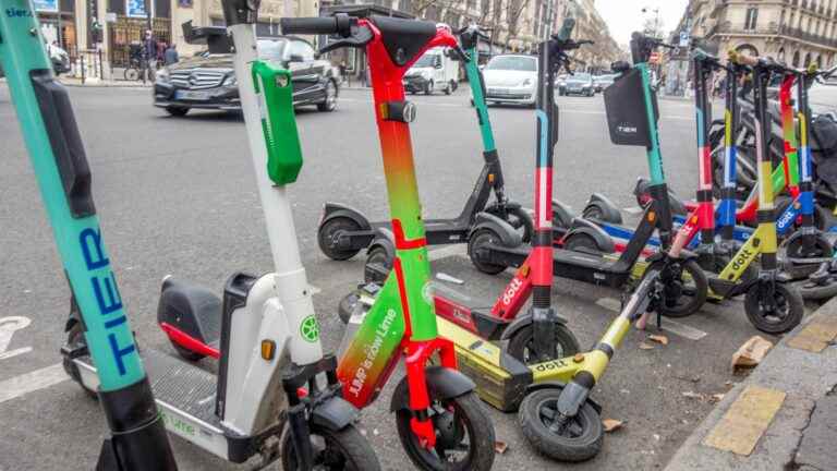 Anne Hidalgo in favor of stopping self-service scooters, Parisians divided