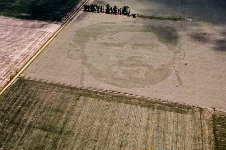 Argentina |  A cornfield “tattooed” with the face of Lionel Messi