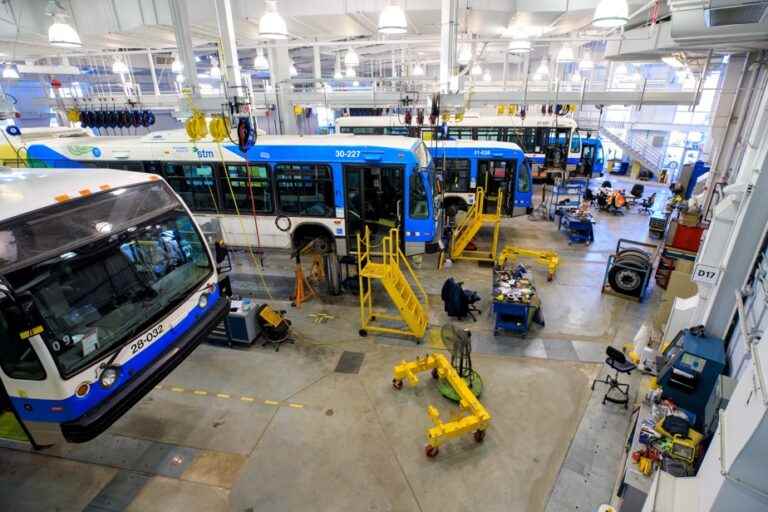 Bus maintenance |  In the new STM hive