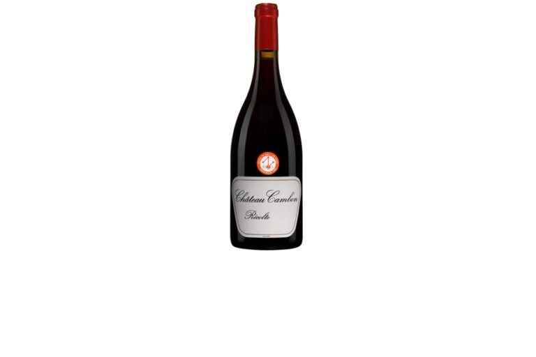 Chateau Cambon Beaujolais 2021 |  Classic: complete and very harmonious