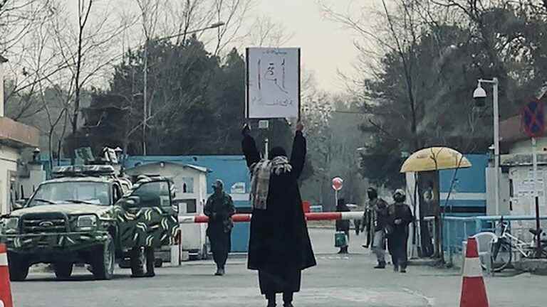 Despite Taliban ban, video of student protesting outside her university goes viral