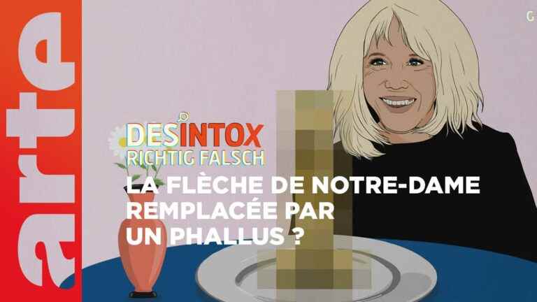 Detox.  No, Brigitte Macron did not want to replace the spire of Notre-Dame with a phallus.