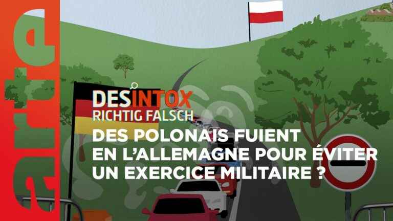 Detox.  No, Poles do not flee to Germany to avoid military service.