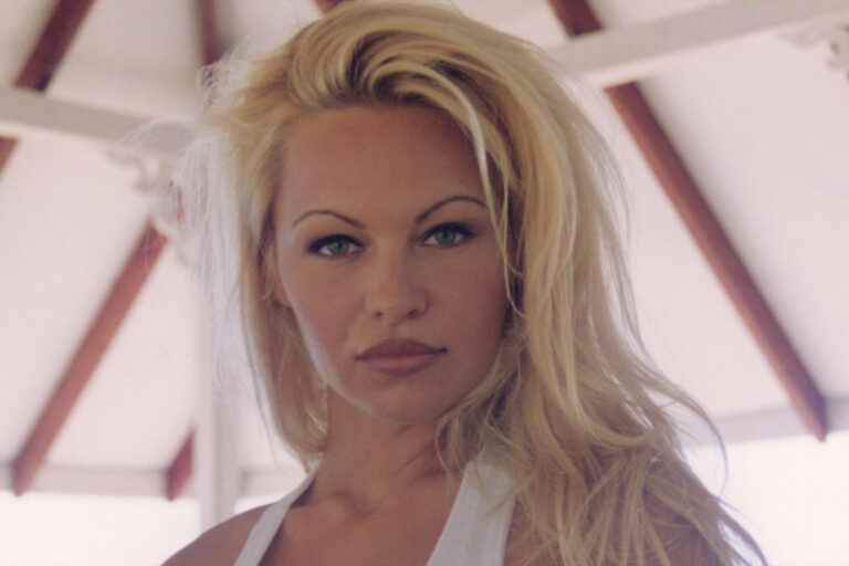 Documentary |  Pamela Anderson goes bare on Netflix