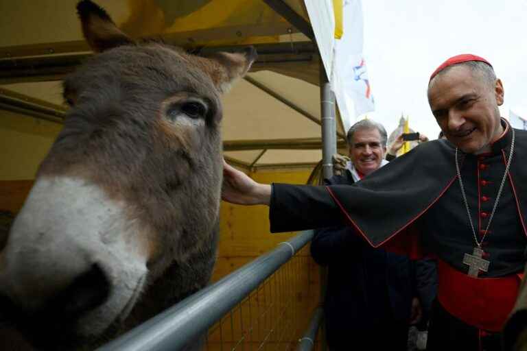 Dogs, cows, rabbits and horses blessed in St. Peter’s Square