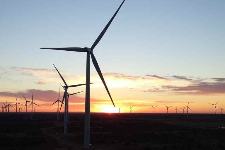 Energy |  The price of wind power has bottomed out