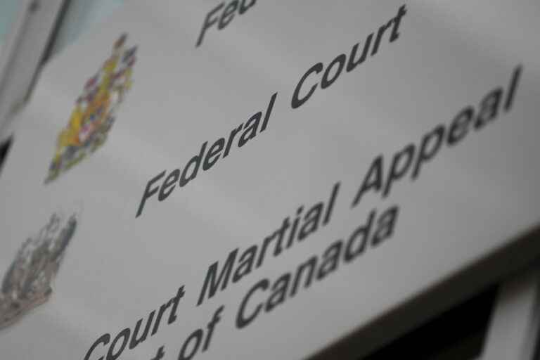 Federal Court examines treatment of Canadians detained in Syria