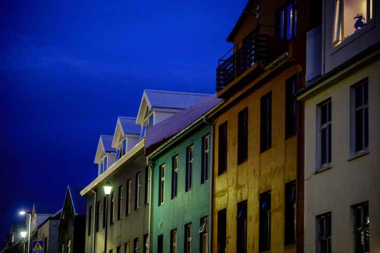 Flea jump in the dark of Iceland