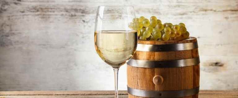 Four good dry and fresh white wines