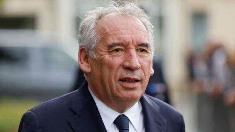 François Bayrou wants to boost the birth rate to save the French pension system