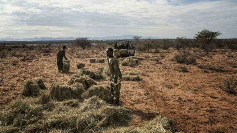 In Kenya, back to school marked by record absenteeism due to drought