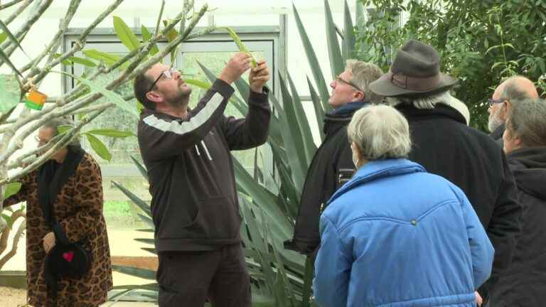 In La Rochelle, the municipal horticultural center helps individuals to have a green thumb