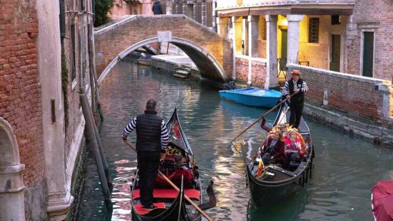 In Venice, gondolas amputated due to global warming