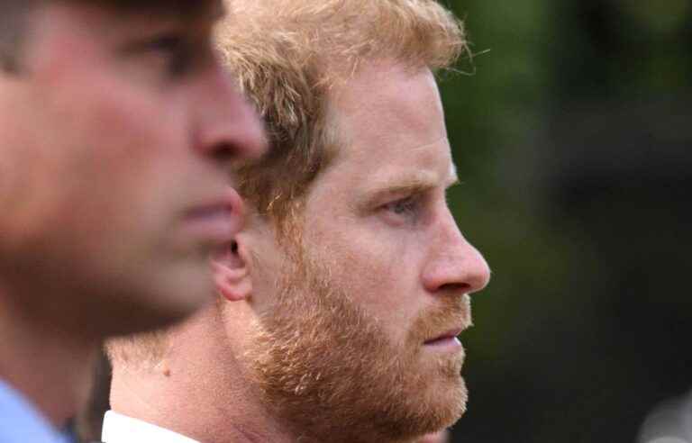 In his memoirs, Prince Harry delivers an unfiltered story that is already causing a sensation