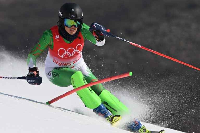 Iranian Olympic skier takes refuge in Germany